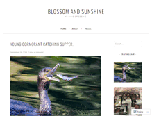 Tablet Screenshot of blossomandsunshine.com